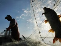 Balık avlama yasağı 1 Nisan’ da başlıyor