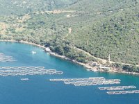 Deniz kıyılarında balık tesisleri kurulabilecek