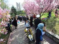 Ertuğrul Fırkateyni Şehitleri, Nezahat Gökyiğit Botanik Bahçesi’nde anıldı
