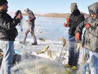 Baraj göllerinde 142 bin ton balık yetiştirildi