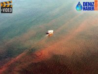 Fethiye Körfezi’ndeki kirlilik için harekete geçiliyor