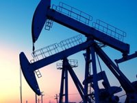 TPAO'nun petrol işletme ruhsat süresi uzatıldı