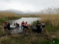 İnci kefali, Van'da korunmaya devam ediyor