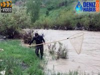 Habur Çayı'nda tehlikeye aldırmadan balık avlıyorlar
