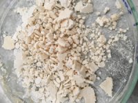 Balık atıkları tıpta kullanılabilecek