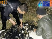 Van'da 3 bin 600 kilogram kaçak avlanmış balık ele geçirildi