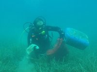 Gölköy'de deniz dibi temizliği gerçekleştirildi