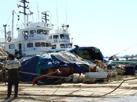 Kaçak balık avcılığının önüne BAGİS ile geçilecek