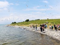 Akdamar Adası, doğaseverleri ağırlıyor