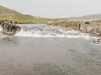 İnci kefalinin tatlı sulara göçü başladı