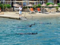 Bodrum koylarında deniz dibi temizliği sürüyor