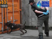 Haydarpaşa ve Ambarlı Limanı'nda 5 konteyner kaçak sigara tespit edildi