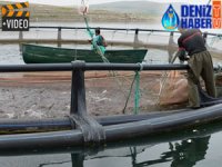 Kayseri, alabalık üretiminde ilk üç sırada yer alıyor