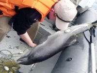 Kırım açıklarında Ukraynalı balıkçı teknesine baskın düzenlendi