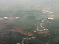 Sel sularının taşıdığı çöpler Karamürsel Sahili'ni kirletti