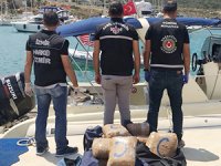 İzmir'de 113 kilo skunk ele geçirildi