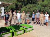 Tedavisi tamamlanan caretta carettalar denize bırakıldı