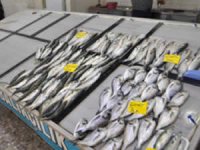 Çanakkale'de balık tezgahlarında çeşitlilik azaldı