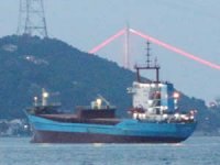 İstanbul Boğazı'nda arızalanan gemi paniğe neden oldu