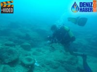 Su altı kültür mirasının korunması için adım atıldı