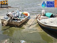 Bafa Gölü, yeşil örtüyle kaplanmaya başladı!