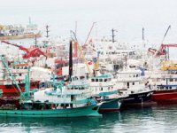 Sinop'ta 350 ticari tekne 'yeterlilik belgesi' alacak