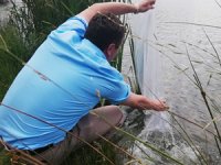 Düzce’de göllere 29 bin 500 balık bırakıldı