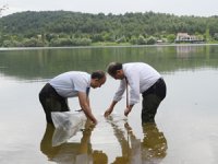 Uşak'ta Göğem Göleti'ne 30 bin yavru balık bırakıldı