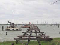 Tabbs Körfezi’nde petrol sızıntısı yaşandı