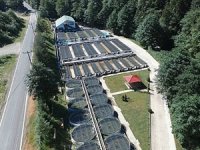 Altındere Alabalık Üretme İstasyonu, 3 milyon balık üretimi hedefliyor