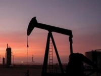 TPAO ve Arar 7 bölgede petrol aramak için başvurdu