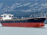 M/V VITASPIRIT haciz miktarını ödeyerek Türkiye'den ayrıldı