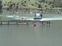 Giresun'da baraj göllerinde balık üretimi yaygınlaşıyor