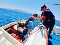 Bodrum'da denizde dokuz kaçak göçmen yakalandı