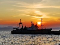 Rusya, Ukrayna limanlarına geçen gemilerinin denetimini artırdı