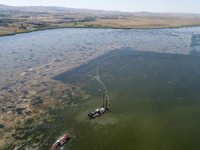 Mogan Gölü’nün yüzde 55’i temizlendi