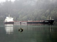 M/V Shandong Hai Wang'ın Avustralya Limanları'na girişi yasaklandı