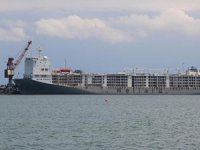 Samsun'u kokutan 'yüzen ahırlar' için valilikten karar