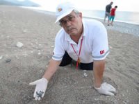 22 yıldır yavru kaplumbağaları denizle buluşturuyor