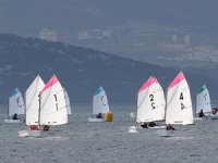 Türkiye Optimist Takım Şampiyonası Urla'da yapılacak