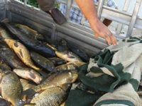 Kaçak balık avlayan kişiye 658 TL para cezası kesildi