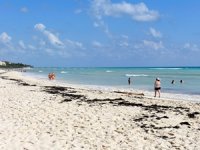 Meksika'da yosuna karşı bariyerli önlem alındı