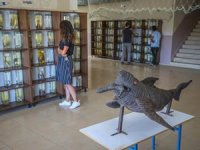 Üç kıtadan getirilen balıklarla müze oluşturuldu