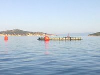 Balıkesir'deki balık çiftlikleri için ÇED Raporu kararı çıktı