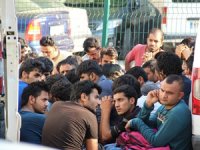 Çanakkale'de 41 kaçak göçmen yakalandı