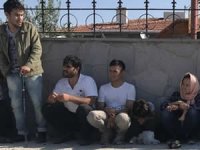 Çanakkale'de 48 kaçak göçmen yakalandı