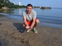 Ordu'da fındıklar sahile vurmaya başladı