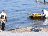 Petrolün kaynağı tespit edilip cezai yaptırım uygulanacak