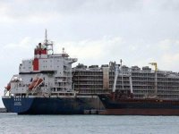 Türkiye'ye şarbon salgınının nasıl geldiği açıklandı!