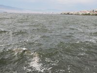 Analiz değerleri körfezin kirli olduğunu gösteriyor